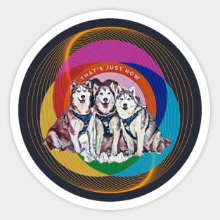 That's Just How (3 Siberian Husky dogs) Sticker